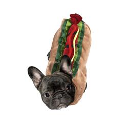 DEGUISEMENT HOT DOG
