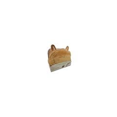 COUSSIN MASSEUR CORGI